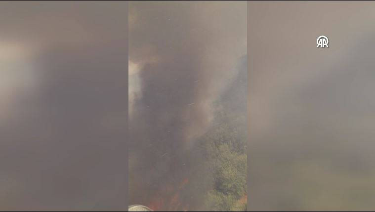 Aydın’ın Çine ilçesinde orman yangını - Resim: 7